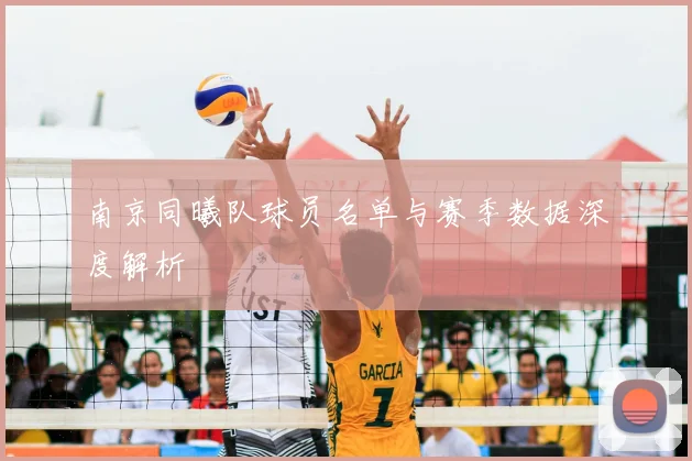 南京同曦队球员名单与赛季数据深度解析
