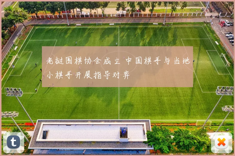 老挝围棋协会成立 中国棋手与当地小棋手开展指导对弈