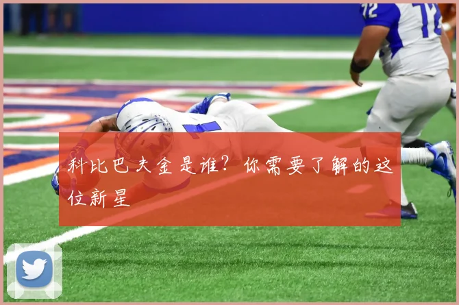 科比巴夫金是谁？你需要了解的这位新星