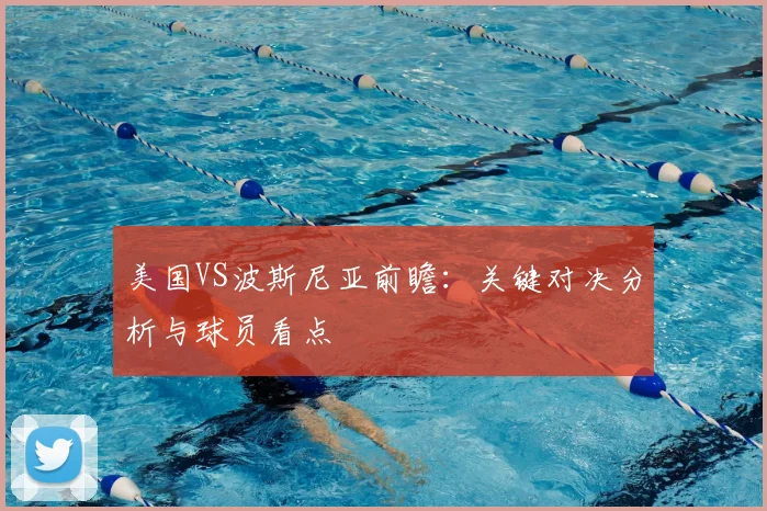 美国VS波斯尼亚前瞻:关键对决分析与球员看点