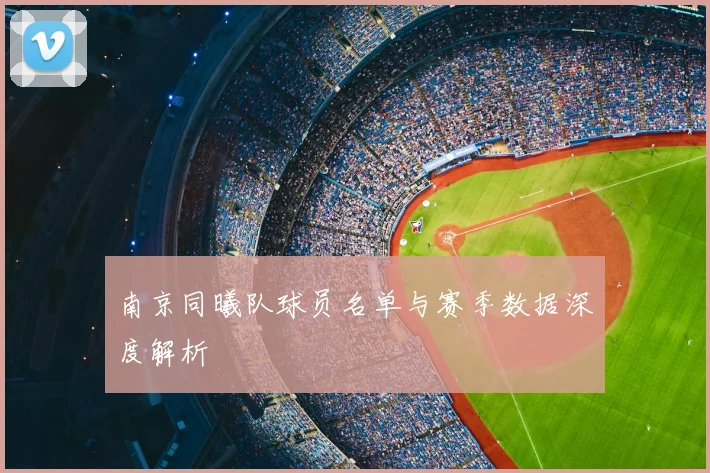 南京同曦队球员名单与赛季数据深度解析